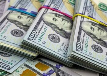 dólar BCV noviembre