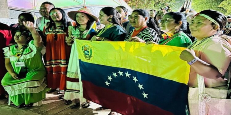 Cumbre pueblos indígenas Venezuela Brasil Crisis Climática