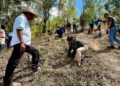 jornada Reforestación plantas Gobierno