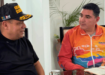 Villamizar participación consultas populares