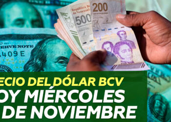 Precio Dólar BCV 12 de noviembre