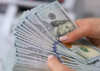 dólar BCV viernes 14 noviembre