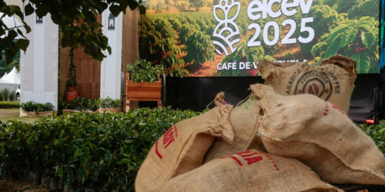 Exportación café venezolano