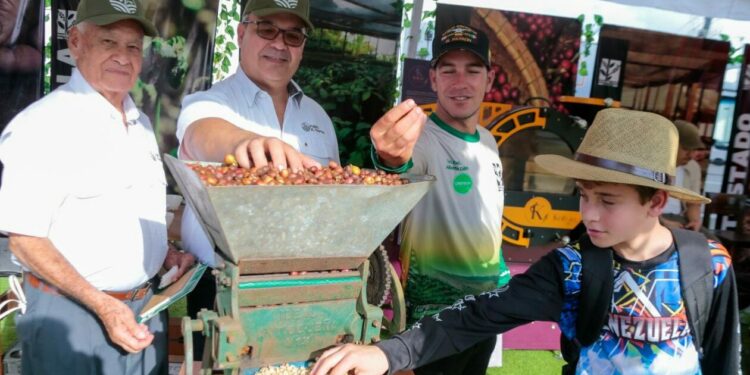 Zafra de café venezolano creció 55% en 2025 respecto al año pasado