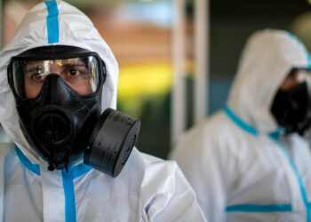 España brote peste porcina africana