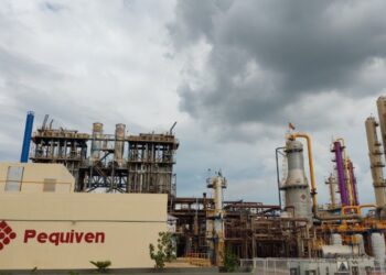 Delcy Rodríguez Pequiven Aniversario